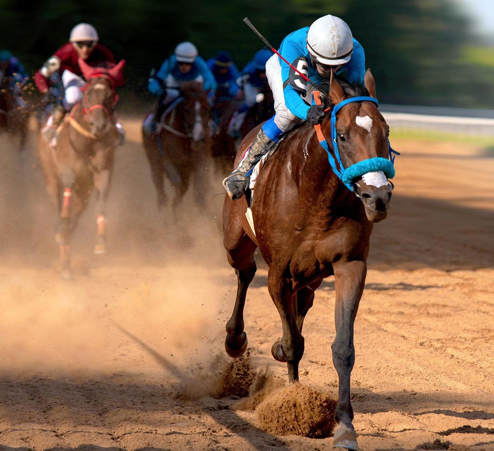 Why Choose Roan Properties