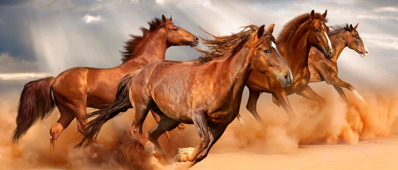 Tennessee ranches for sale